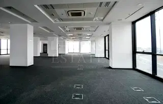 Офис в София, Дружба 1