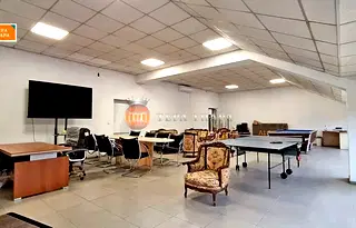 Офис в София, Гео Милев