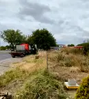 Парцел в Пазарджик, Младост