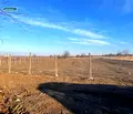 Снимка 5 — Парцел в Пловдив, с. Марково