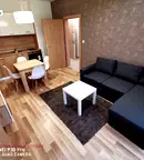 Тристаен апартамент с балкон и южно изложение в Витоша, София