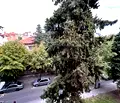 Снимка 2 — Многостаен апартамент в Бургас, Несебър