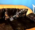 Снимка 5 — Двустаен апартамент в к.к. Златни пясъци