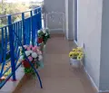 Снимка 2 — Двустаен апартамент в Бургас, к.к. Слънчев бряг