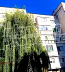 Двустаен апартамент във Велико Търново, Павликени