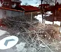 Снимка 4 — Къща в с. Бусманци