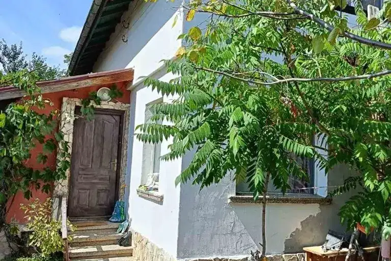 Къща в с. Войнеговци