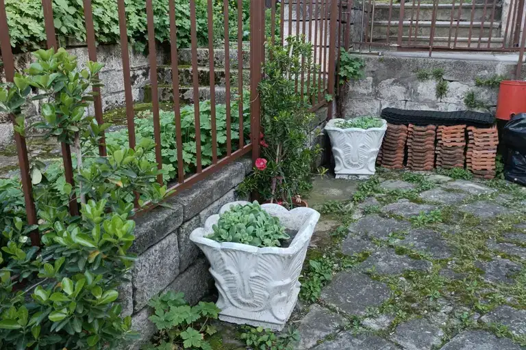 House in Shumen, Centyr