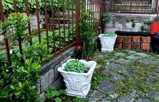 Къща в Шумен, Център