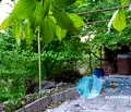 Снимка 4 — Къща в Шумен, м-т Под Манастира