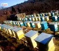 Снимка 5 — Къща в Русе, в.з. 9-ти километър