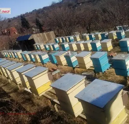 Снимка 5 — Къща в Русе, в.з. 9-ти километър