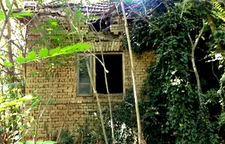 Къща в Добрич, с. Александрия