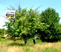 Снимка 5 — Къща в Добрич, с. Бдинци