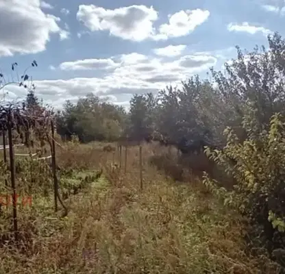Photo 5 — House in Oblast Dobrich, с. Ломница