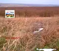 Снимка 3 — Къща в Добрич, с. Сърнец