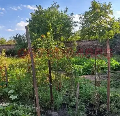 Снимка 3 — Къща в Пазарджик, с. Овчеполци