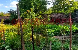 Къща в Пазарджик, с. Овчеполци