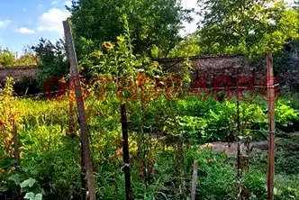Къща в Пазарджик, с. Овчеполци