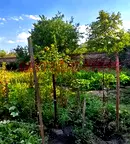 Къща в Пазарджик, с. Овчеполци