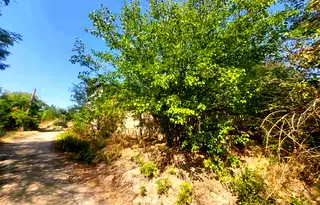 Къща в Плевен, с. Ореховица