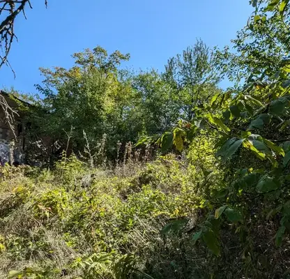 Photo 4 — House in Razgrad, Blagoevo