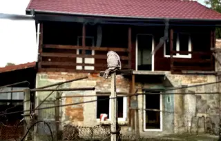 Къща в Русе, с. Червен