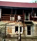 Къща в Русе, с. Червен