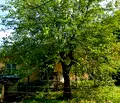 Снимка 4 — Къща в София, с. Врачеш