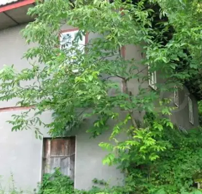 Photo 3 — House in Oblast Veliko Tyrnovo, с. Радовци
