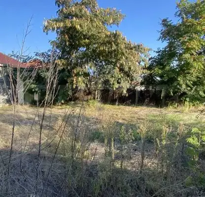 Photo 4 — House in Oblast Vidin, Gomotarci