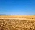 Снимка 2 — Земеделски имот в Бургас, с. Тънково