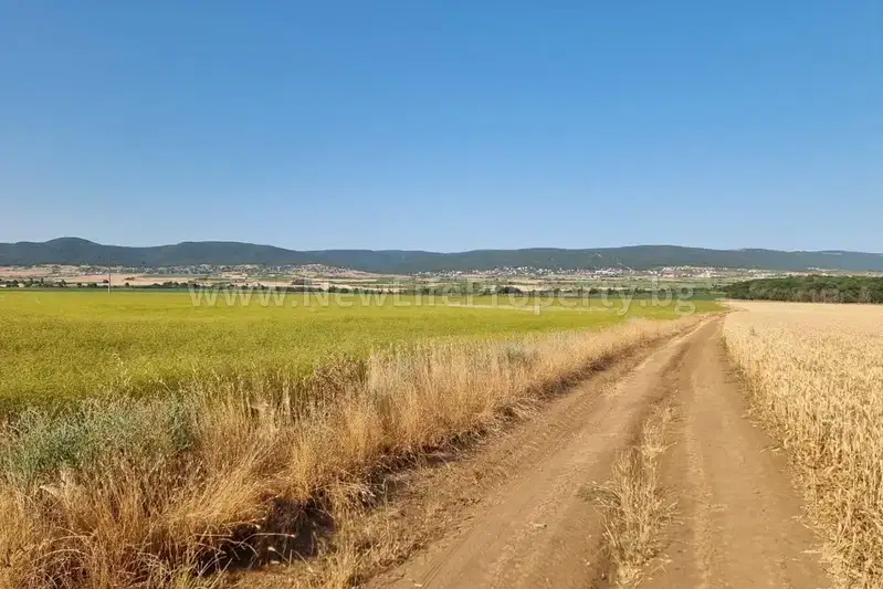 Agricultural Land in Oblast Burgas, Tynkovo