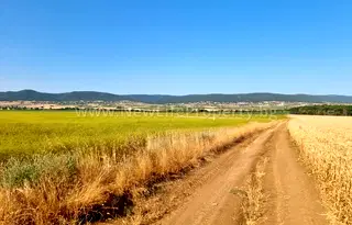 Земеделски имот в Бургас, с. Тънково