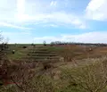 Снимка 2 — Земеделски имот в Добрич, с. Телериг
