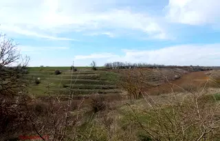 Земеделски имот в Добрич, с. Телериг