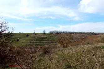 Земеделски имот в Добрич, с. Телериг