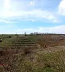 Земеделски имот в Добрич, с. Телериг