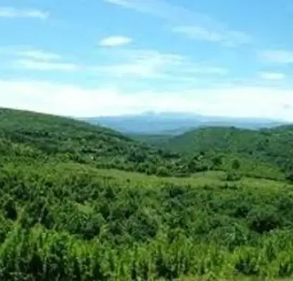 Photo 4 — Agricultural Land in Oblast Gabrovo, с. Мичковци