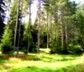 Снимка 2 — Земеделски имот в Хасково, с. Българска поляна