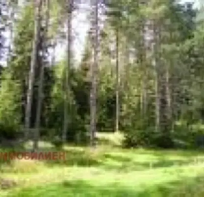 Снимка 2 — Земеделски имот в Хасково, с. Българска поляна