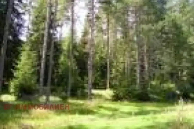 Земеделски имот в Хасково, с. Българска поляна