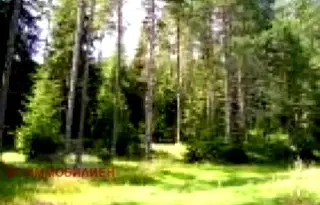 Земеделски имот в Хасково, с. Българска поляна
