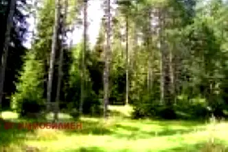 Земеделски имот в Хасково, с. Българска поляна