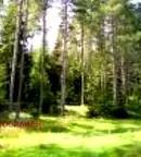 Земеделски имот в Хасково, с. Българска поляна