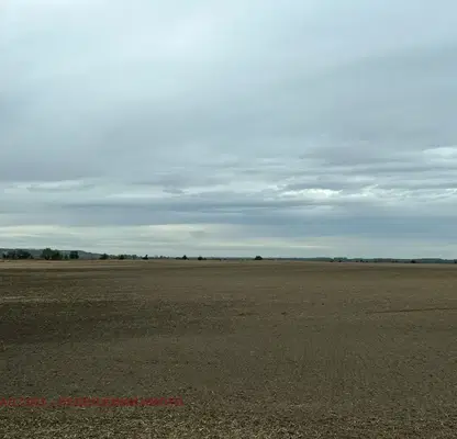 Photo 2 — Agricultural Land in Oblast Montana, Dolni Cibyr