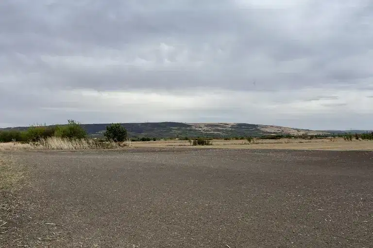Agricultural Land in Oblast Montana, Dolni Cibyr