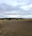 Земеделски имот в Монтана, с. Долни Цибър