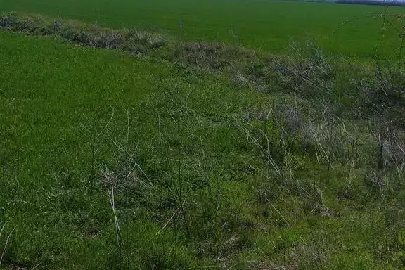 Agricultural Land in Oblast Pazardjik, Dobrovnica