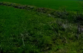 Земеделски имот в Пазарджик, с. Добровница
